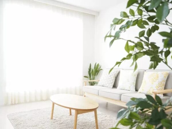 Five Ways to Make Your Home More Eco-Friendly